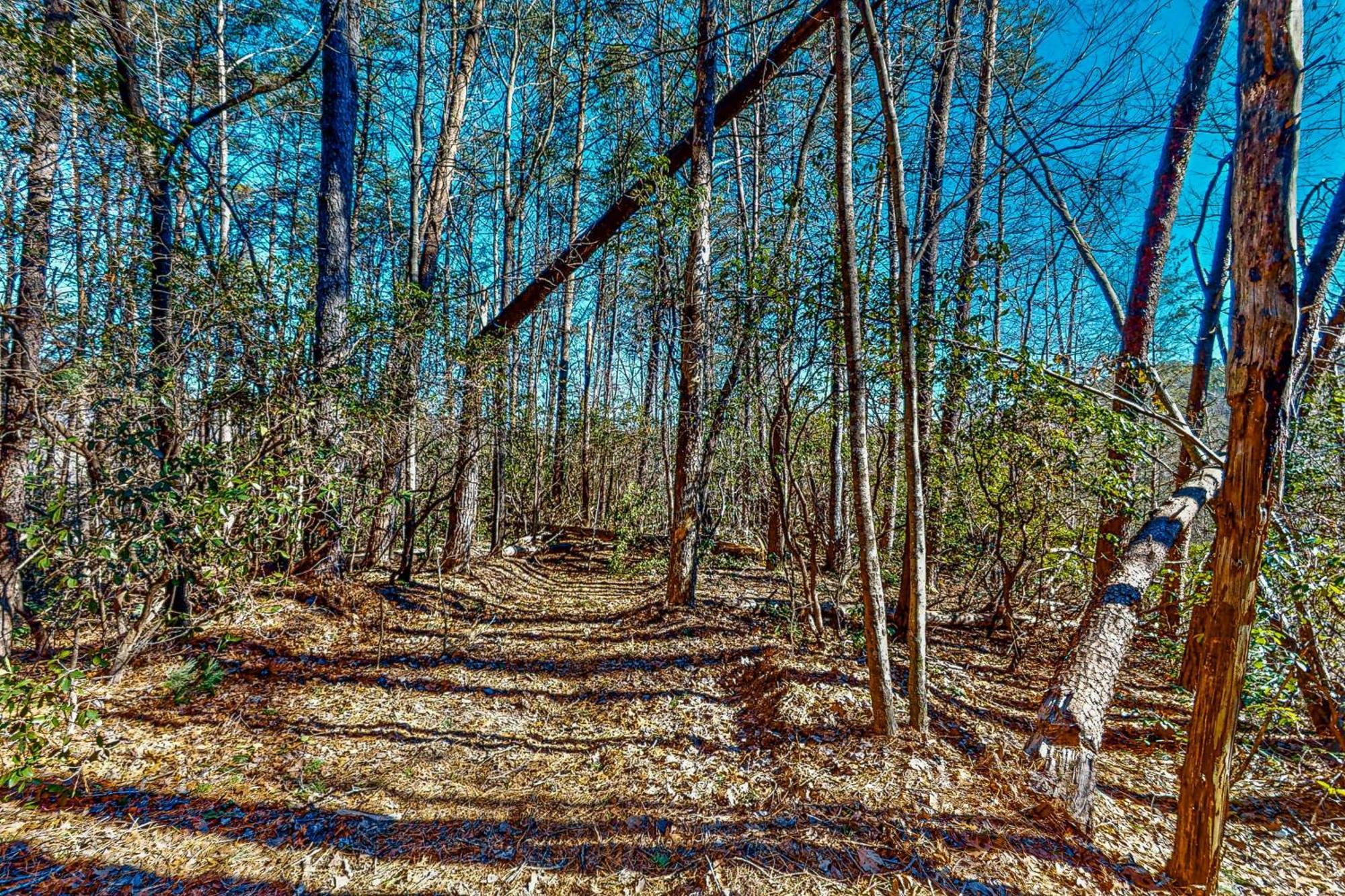 Отель Singing Pines Sautee Nacoochee Экстерьер фото